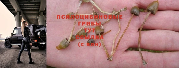 винт Богданович