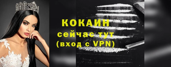 2c-b Богородицк