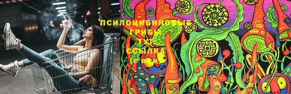 мдма Богородск