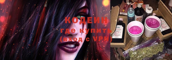 2c-b Богородицк