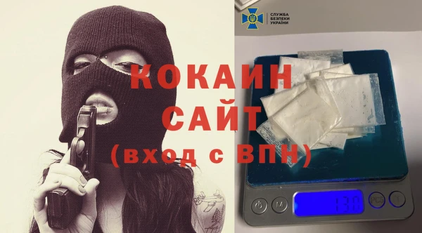 винт Богданович