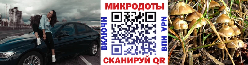 ОМГ ОМГ ONION  Кисловодск  Псилоцибиновые грибы ЛСД 